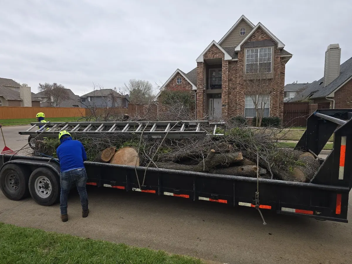 Expert Tree Removal with proper safety equipment in Nanty Glo